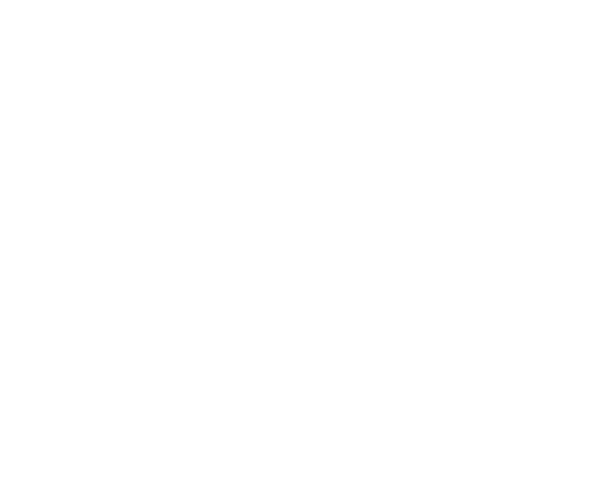 logo-basic